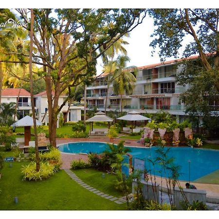 Aarju Luxurious Stay كالانغيُت المظهر الخارجي الصورة